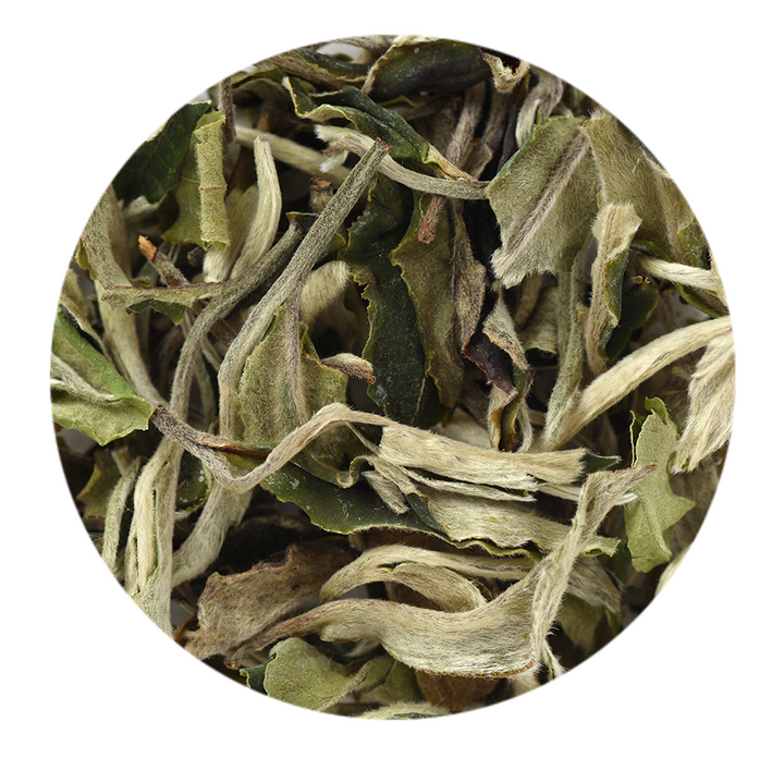 Bai Mu Dan (White Peony)